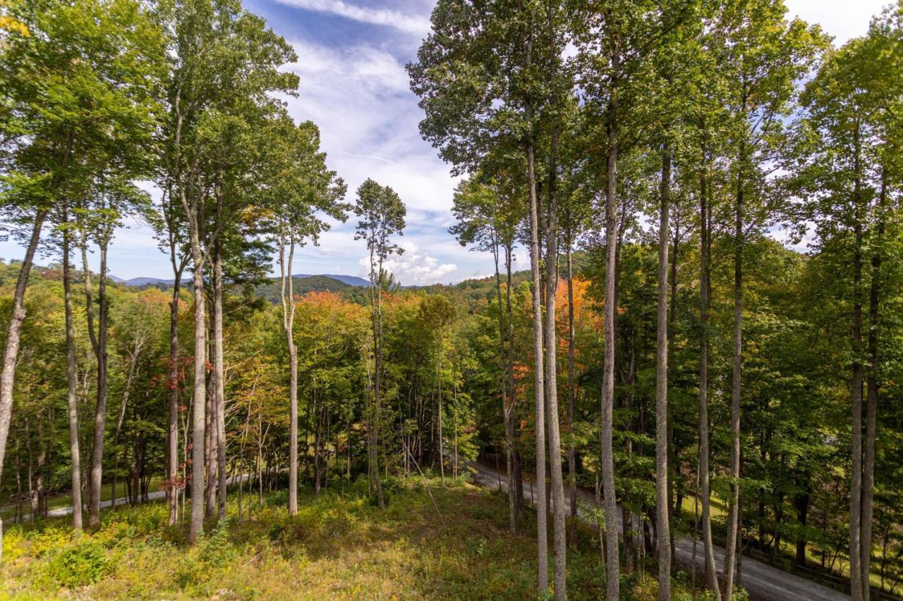 Matney Ridge Estate Villa Banner Elk Bagian luar foto
