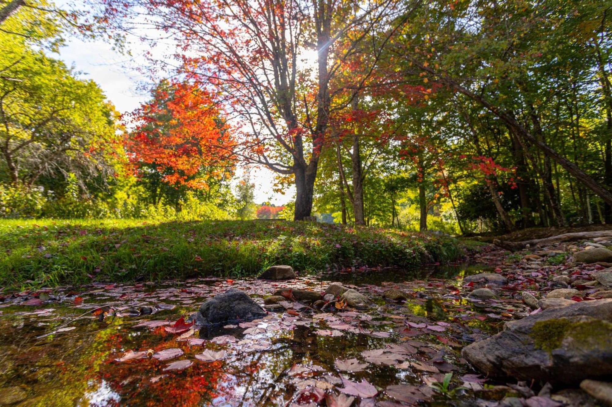 Matney Ridge Estate Villa Banner Elk Bagian luar foto